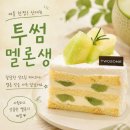 투썸플레이스 케이크가격 총정리 신메뉴 멜론생 후기