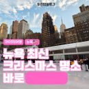 아이스마켓 | 2025 뉴욕 브라이언트파크 아이스링크 예약 팁 크리스마스 마켓 아이와 방문 후기 할인쿠폰 포함