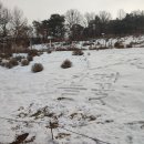 레트로카페 이미지