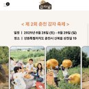 신음초등학교 | 2025 춘천 감자 축제가 맛있고 감자빵이 재밌어요 (주차, 먹거리, 기념품 등 참가 후기)