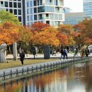 연못 속 풍경 이미지