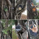 그루터기공원 이미지