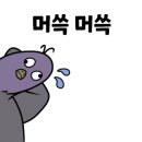 마브로 이미지