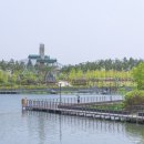 호수공원소나무숲길 이미지