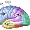 별난머리 이미지