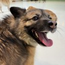 일성프라자 이미지