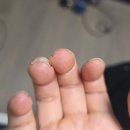 수원네일쎈타 | 네일 국가고시 실기 모델 생생 후기