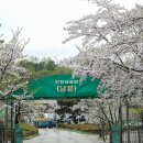 우천중학교 Daum카페