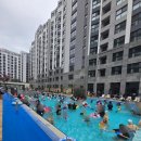 도미니클라바 이미지