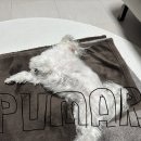 양평해장국 합정점 | 2026 1~3월 결산