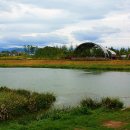 동천 갯벌공연장 이미지