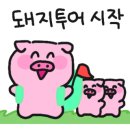 정육식당육국분당 이미지