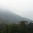 하라네일