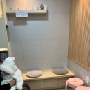 송하치과의원 | 6개월 아기 불소바니쉬 하러 춘천어린이치과 방문 후기