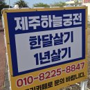 복돼지1 PC | 제주 한라산 영실코스 탐방로 어리목 코스 버스 타고 제주 버스터미널 제주공항 가는 대중교통 환승...