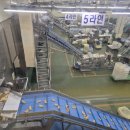 하림투어 이미지