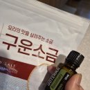 꾼고기