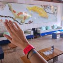 유로클럽리조트 | #2 만타 투어 대성공! 유로다이버스 EuroDivers 프리다이빙 후기: 클럽메드 카비라 연계 글로벌 다이빙...