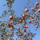 한빛농장 이미지