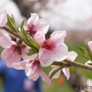 찬기농장 이미지