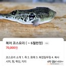매일복집 | 선릉역 맛집 복집 &#39;옥스빌리지 복어이야기&#39; 회식 모임 딱이네!