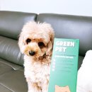 그린펫동물병원 이미지