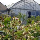 모현농장 이미지