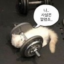 에스클래스짐 이미지