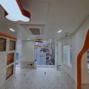 솜사탕 애견미용실 이미지