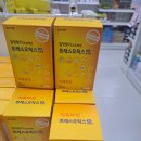 대전종로약국 이미지