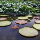 필봉산길 이미지