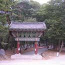 19.11.28﻿★1465. 표충사의 산문에【재약산 표충사(載藥山 表忠寺)】라는, 현판을 편액한 사실이 없다 이미지