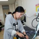 진도호시 이미지