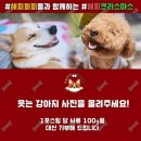 포스팅