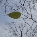 잠시라도 이미지