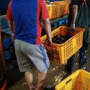 조은수산 이미지