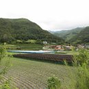 태영농장 이미지