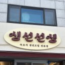 생선선생 이미지