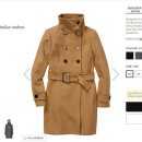 아르지아 이미지