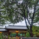 카페연 - 상주시 천봉서로 112 | 김포 대곶 카페연 방문후기