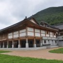 완도수목원산림박물관 네이버블로그