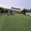 코코애견 이미지