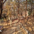 안골3길 4 이미지