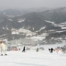 현대한약국 네이버블로그