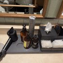 A Spirit of Journey(에이 스피릿 오브 저니) 이미지