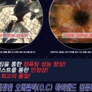 하이엔피씨 이미지