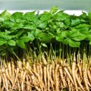 빛고을농장 이미지