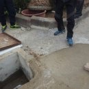 강현초등학교 이미지