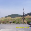 창녕 사리 지석묘 Daum카페