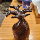 교동전선생 이미지